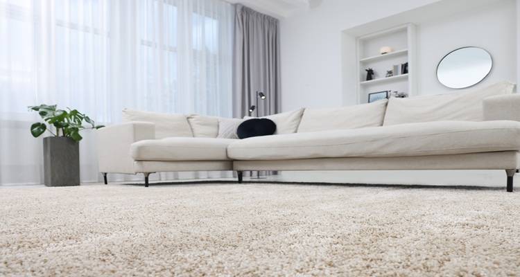 cream carpet living room sofa
