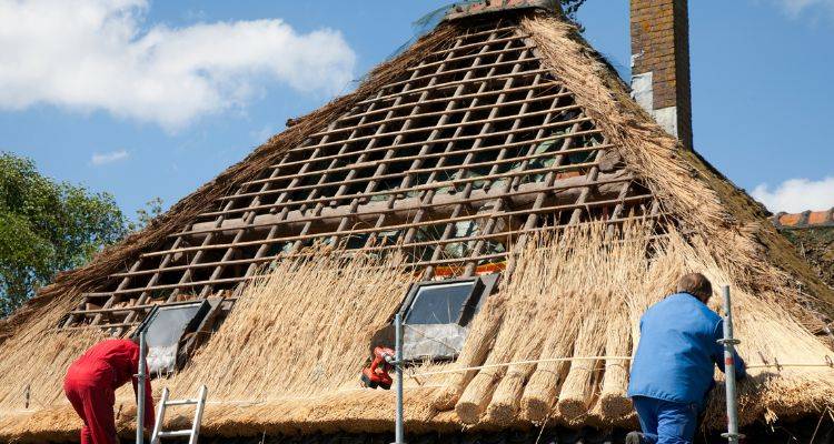 thatched roofing cost