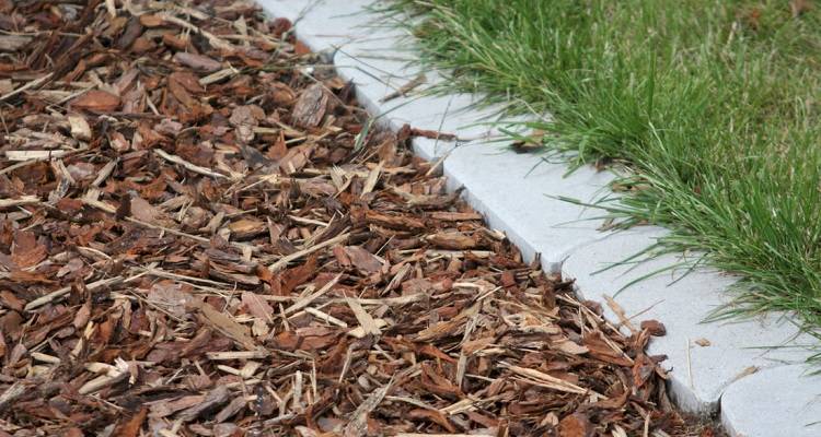 bark mulch path