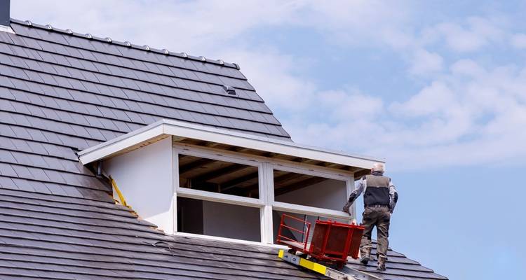 man ladder roof dormer