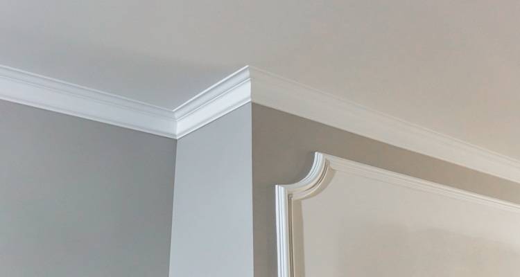 white coving grey wall