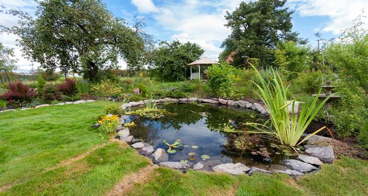 large garden pond