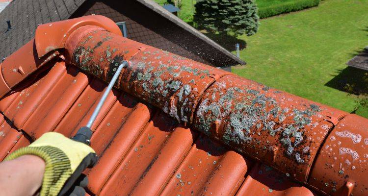 fungus being removed from roof
