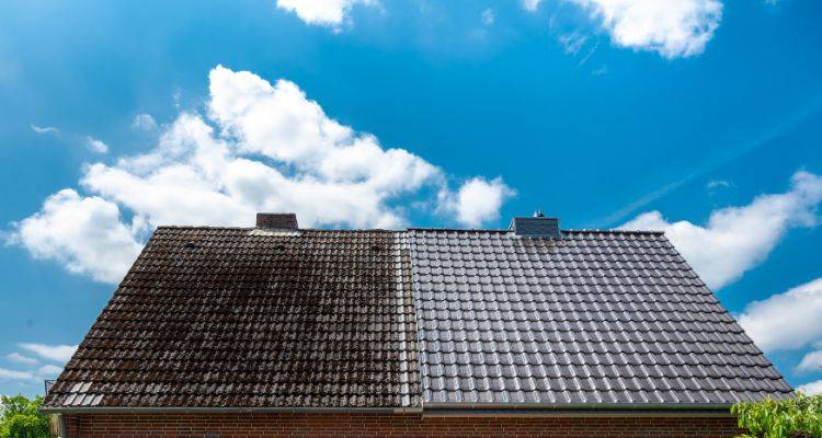 roof clean before and after