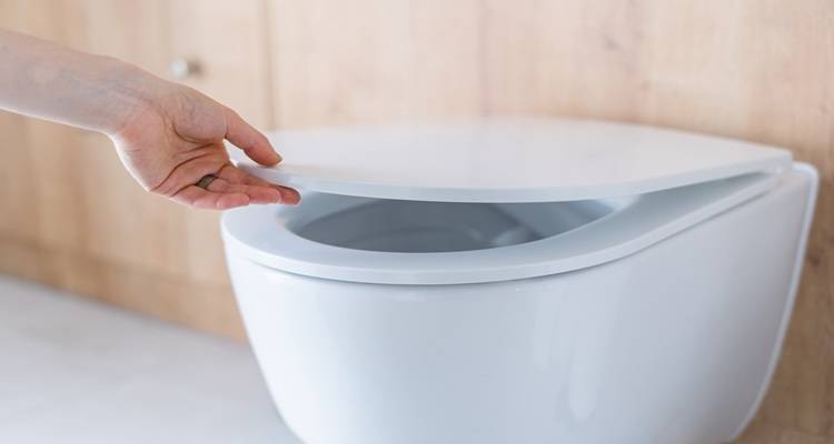 hand lifting toilet seat