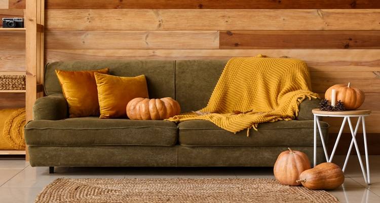 Rug in front of sofa