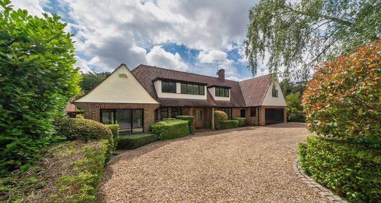 long driveway big house