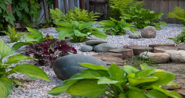 rockery round stones