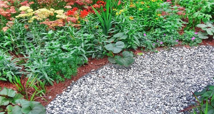 rockery gravel garden