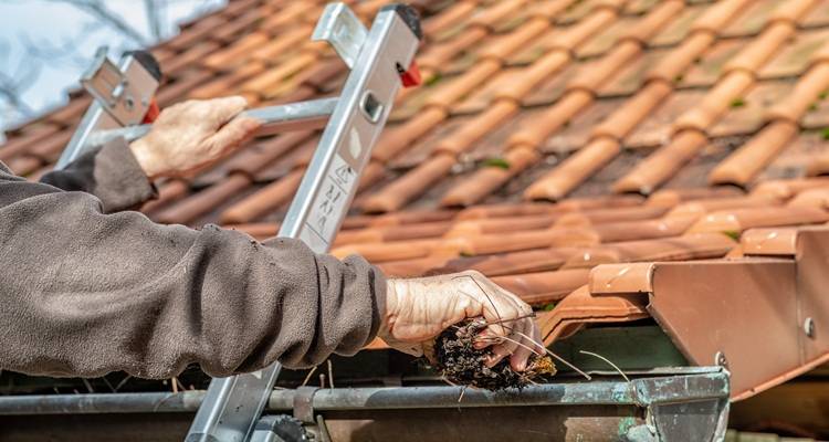 Man clearing gutter