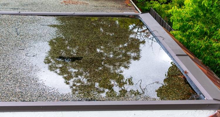 pooling water on flat roof