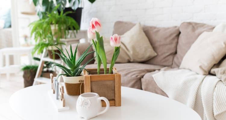 Seasonal Style: Interior Design Trends for Summer