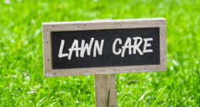 Spring Care For Your Lawn &ndash; Enjoy Greener Grass