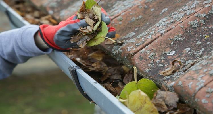 Spring Exterior Checks Homeowners Often Miss