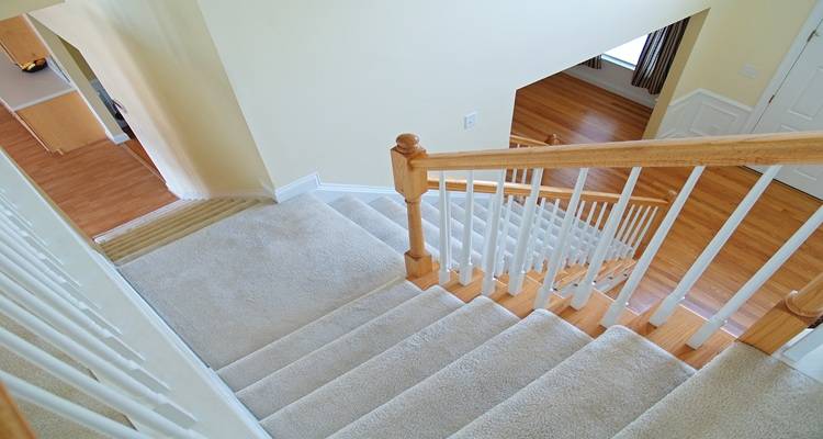 carpeted staircase