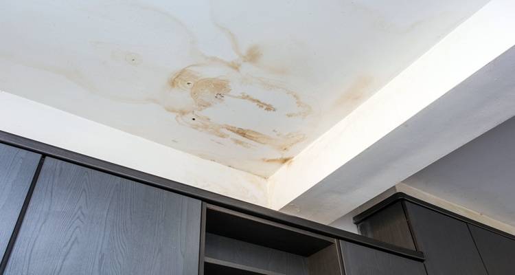 damp on ceiling