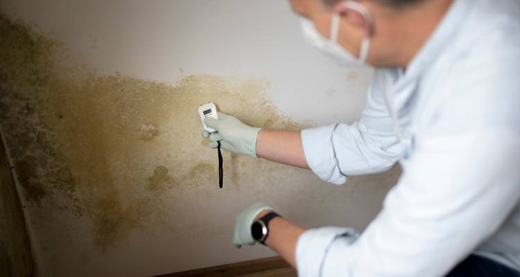 man measuring damp