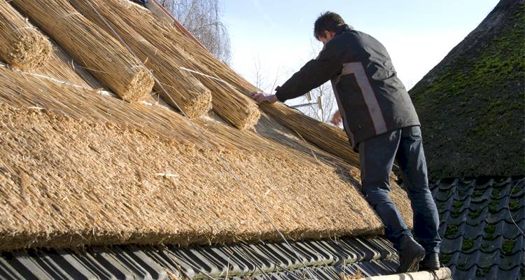 roof thatcher working on scaffolding while fitting a thatched roof