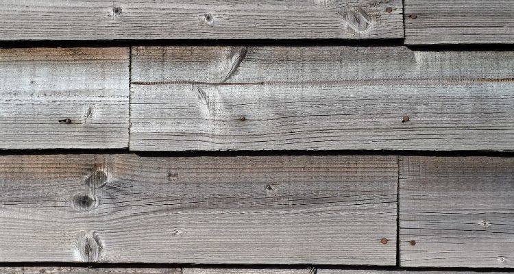 larch cladding