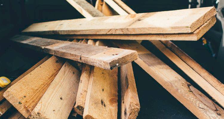 timber framed extensions