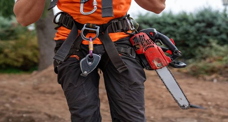man tree surgeon equipment