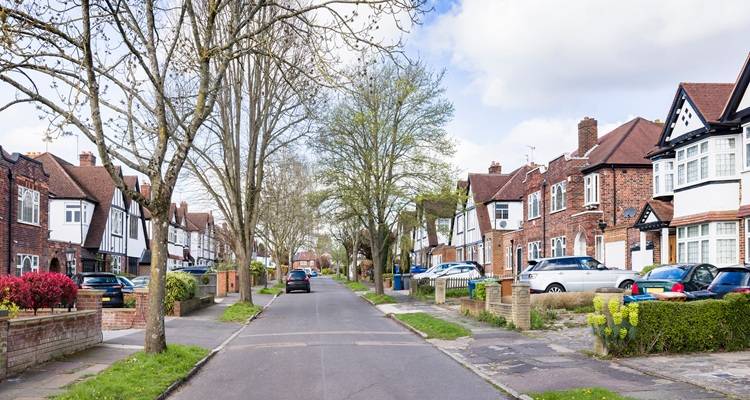 tree lined street UK
