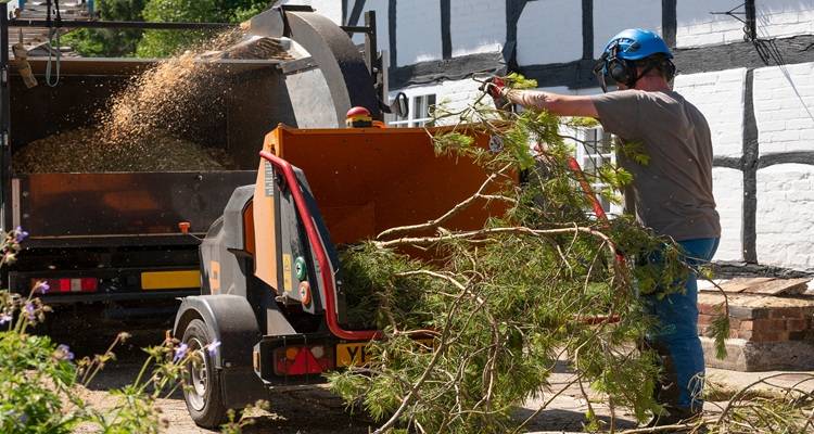 arborist using wood chipper