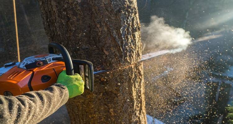 gloved hand holding chainsaw