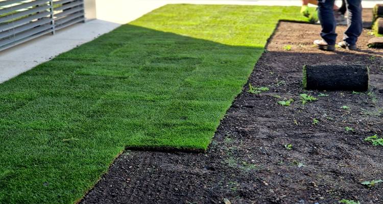 turf laid long rolls