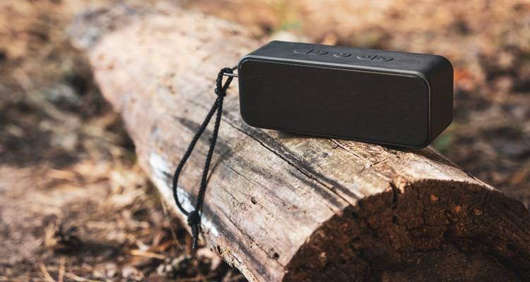 bluetooth speaker on log