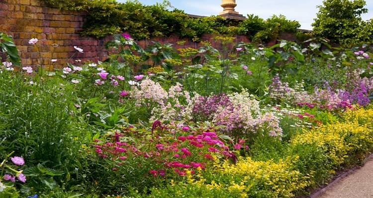 flower bed