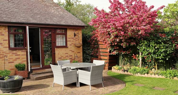 back garden pink tree