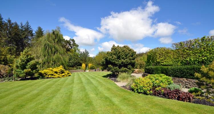 wide angle garden blue sky