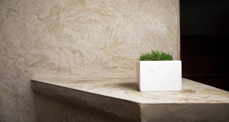 venetian plaster shelf with plant