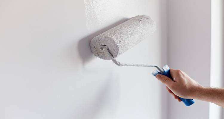 roller painting wall