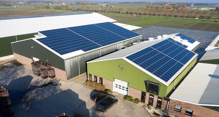solar panels on business
