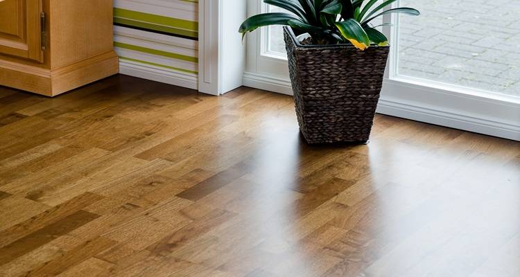 laminate flooring plant in doorway