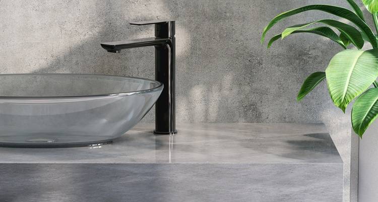 black bathroom tap sink plant