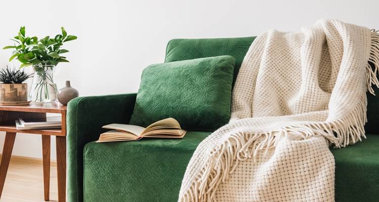 green sofa cream throw