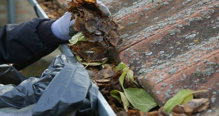 gutters leaves